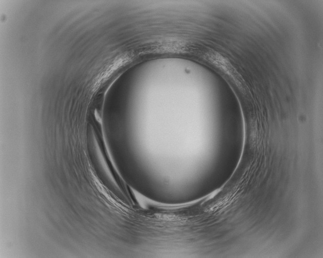 X0000059040677200510171849