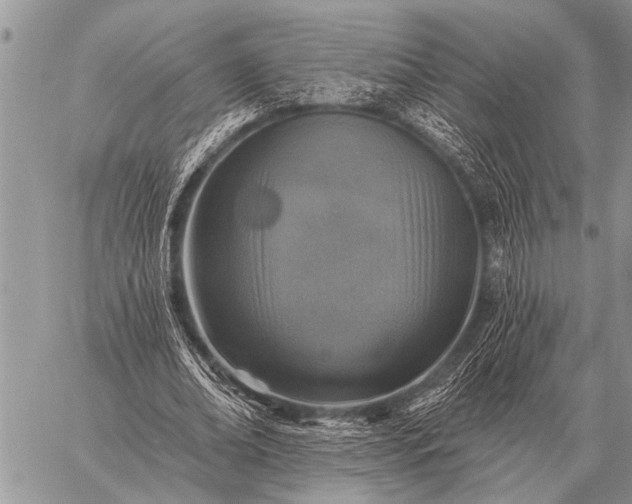 X0000059040678200510171849