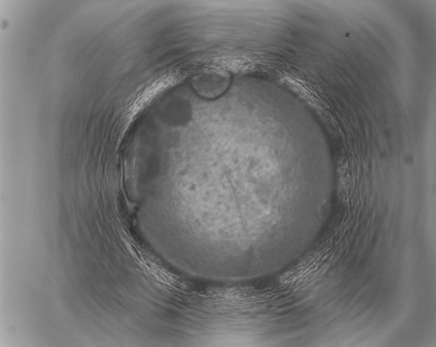 X0000059040679200510171849