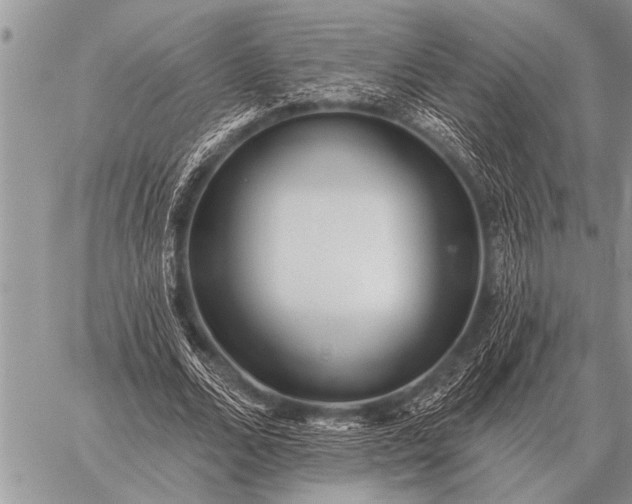 X0000059040680200510171849