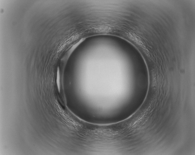 X0000059040681200510171849