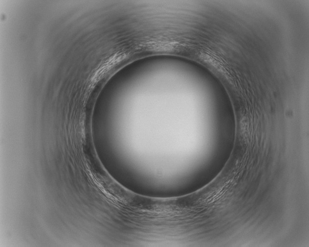 X0000059040682200510171849