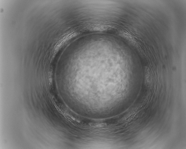 X0000059040683200510171849