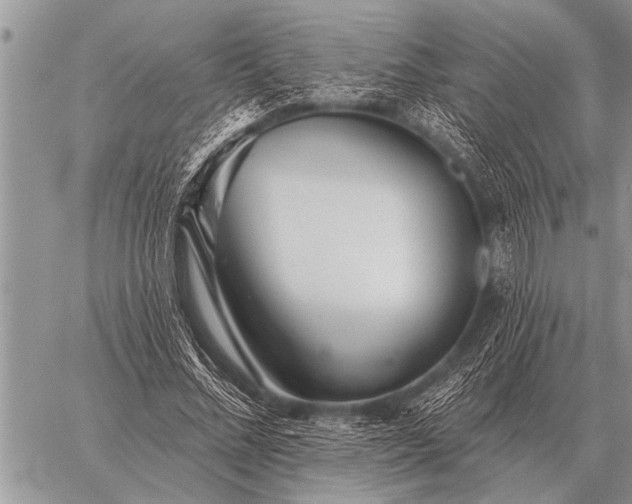 X0000059040684200510171849