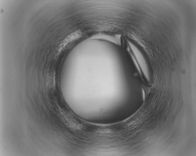 X0000059040685200510171849