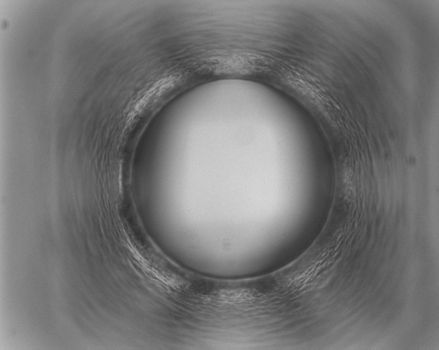 X0000059040686200510171849