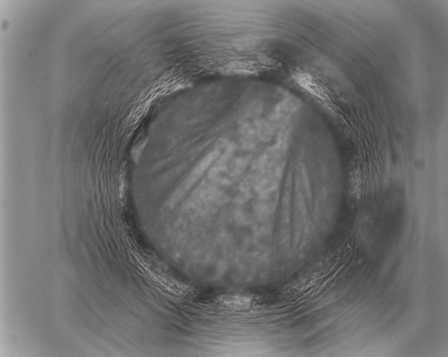 X0000059040687200510171849