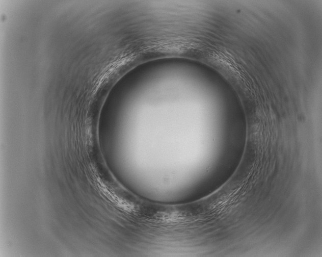 X0000059040688200510171849