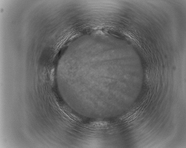 X0000059040691200510171849