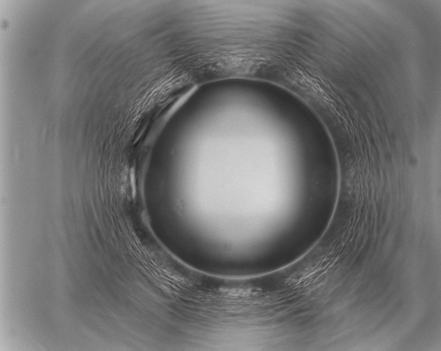 X0000059040693200510171849