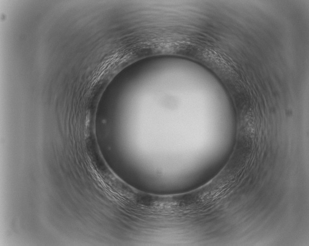 X0000059040694200510171849