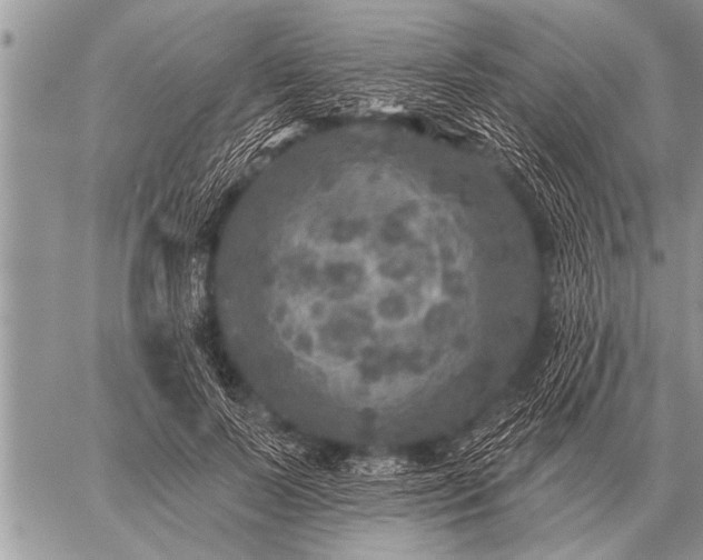 X0000059040695200510171849