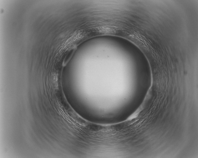 X0000059040696200510171849