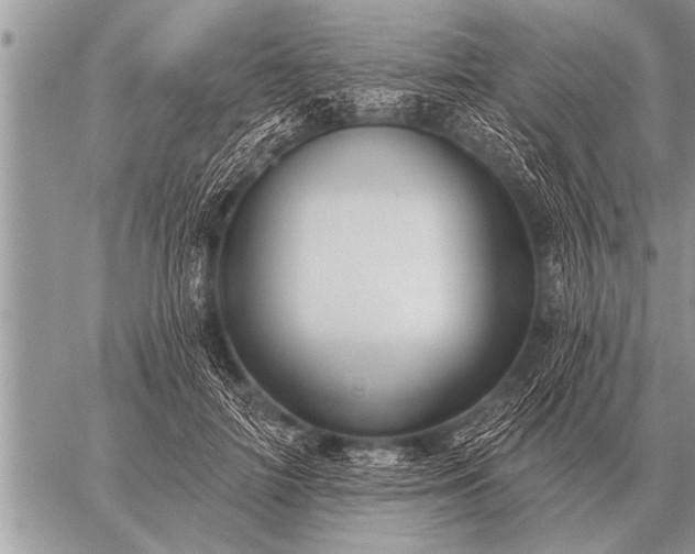 X0000059040698200510171849