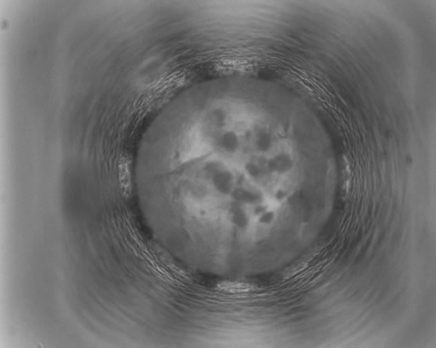 X0000059040699200510171849