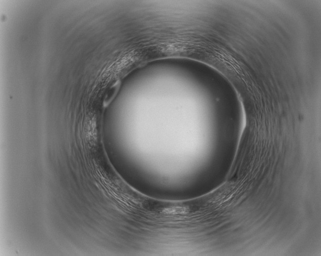 X0000059040700200510171849