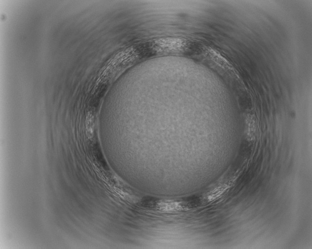 X0000059040701200510171849