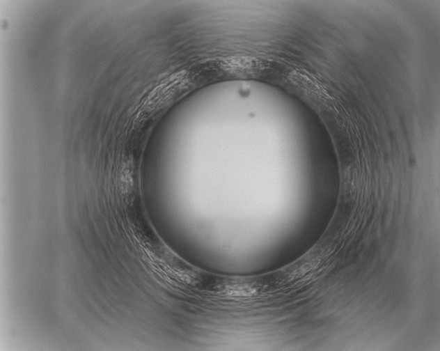 X0000059040702200510171849