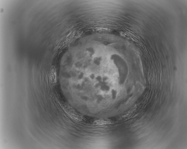 X0000059040703200510171849