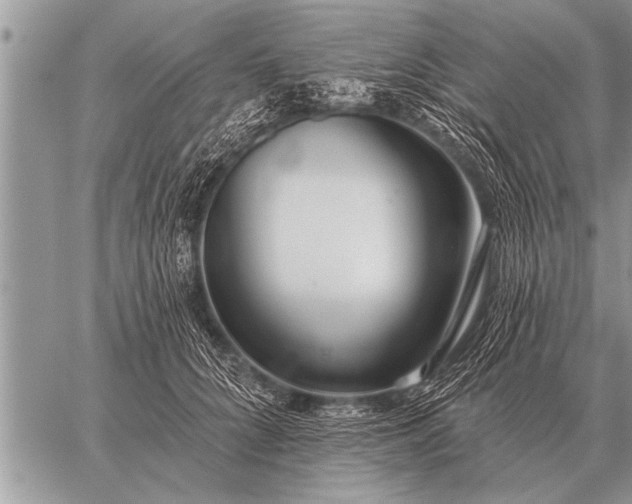 X0000059040704200510171849