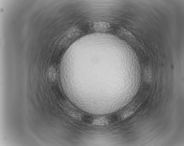 X0000059040705200510171849