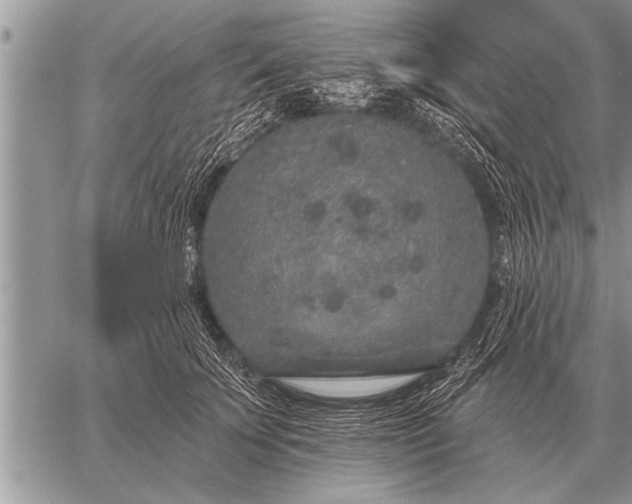 X0000059040707200510171848