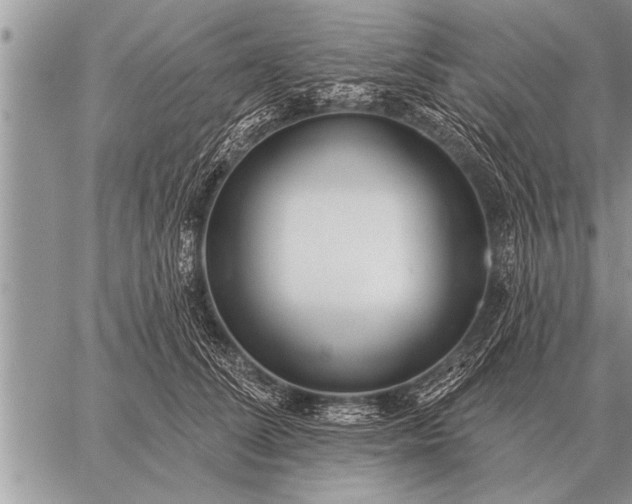 X0000059040708200510171848