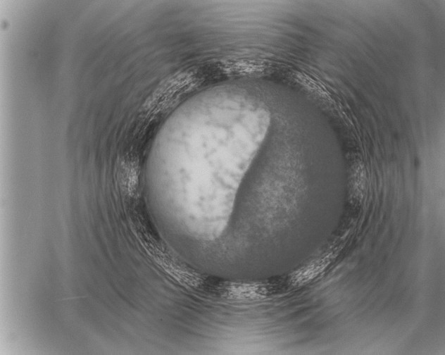 X0000059040709200510171848