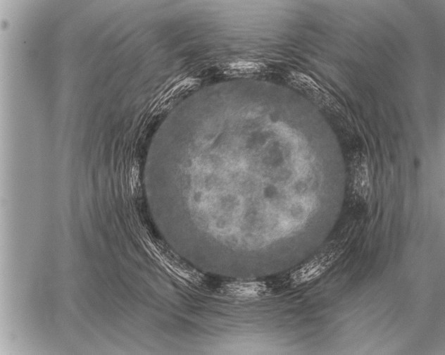 X0000059040711200510171848