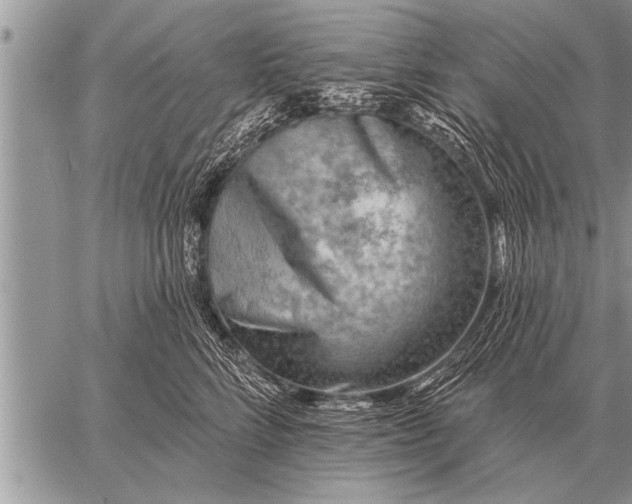 X0000059040712200510171848