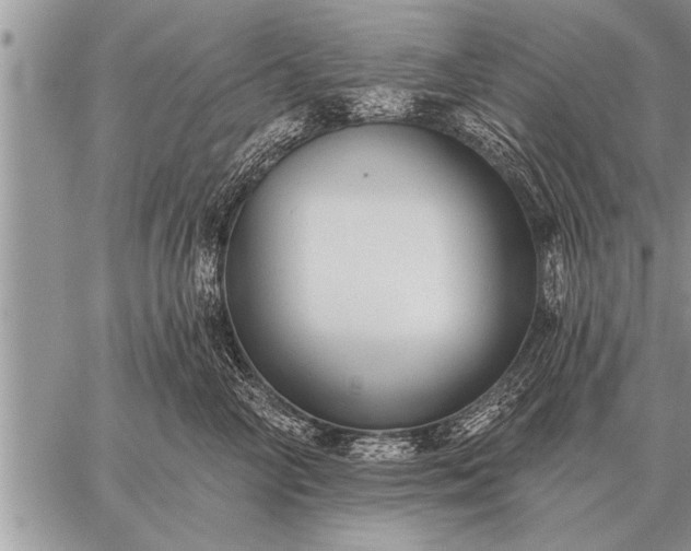 X0000059040714200510171848