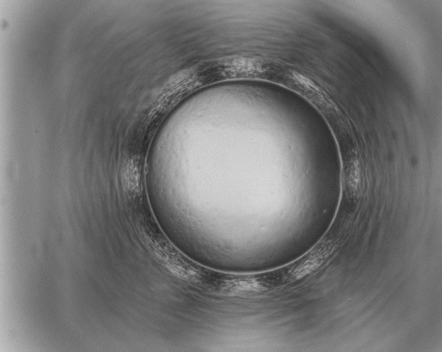 X0000059040715200510171848