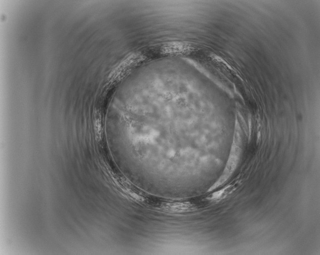 X0000059040716200510171848