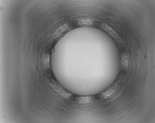 X0000059040717200510171848