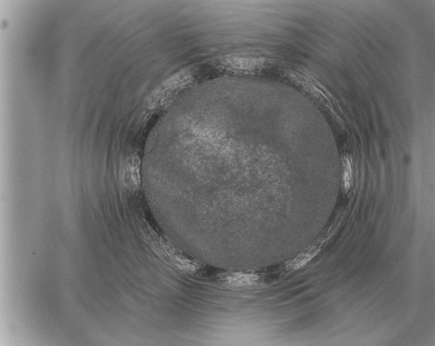 X0000059040718200510171848