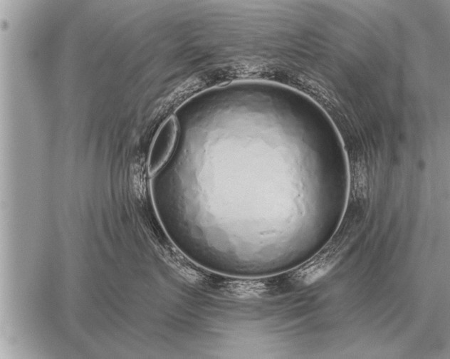 X0000059040719200510171848