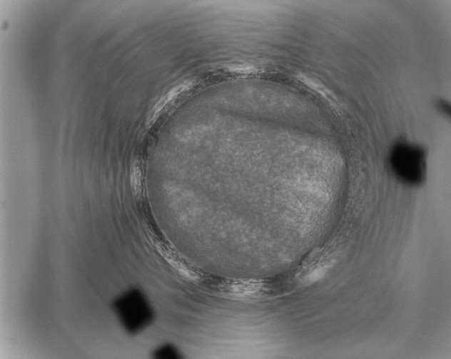 X0000059040720200510171848