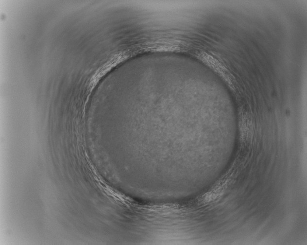 X0000059040721200510171847