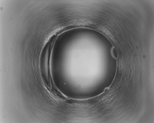 X0000059040722200510171848