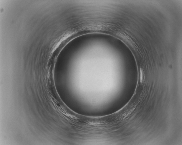 X0000059040723200510171848