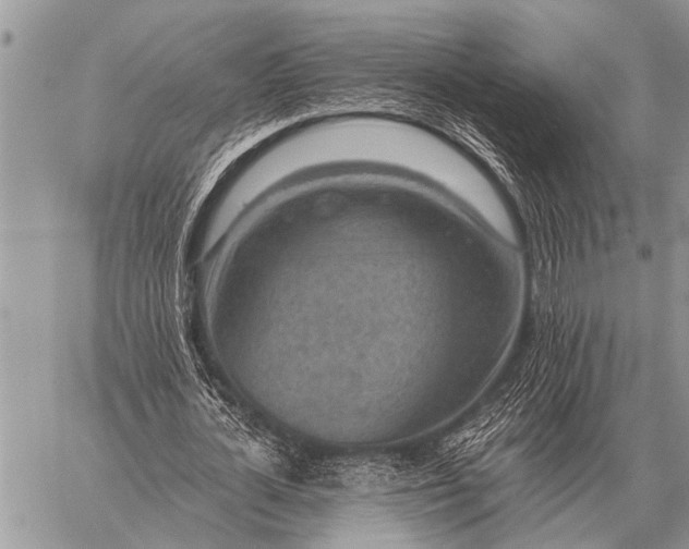 X0000059040724200510171848