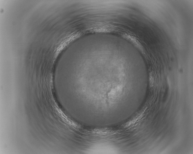 X0000059040725200510171848