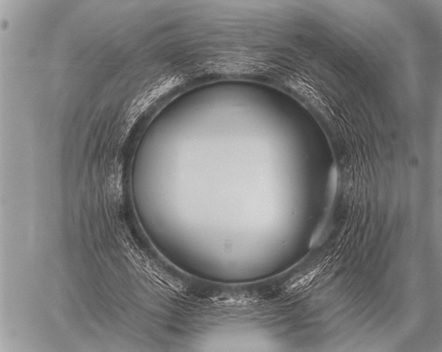 X0000059040727200510171848