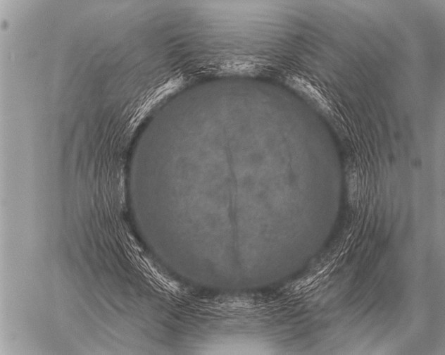 X0000059040729200510171848