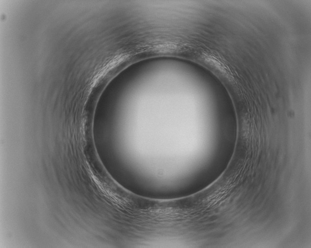 X0000059040730200510171848