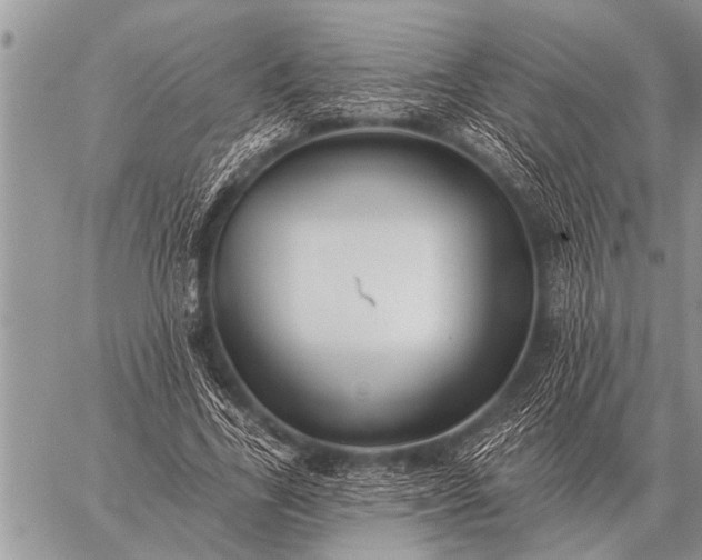 X0000059040731200510171848