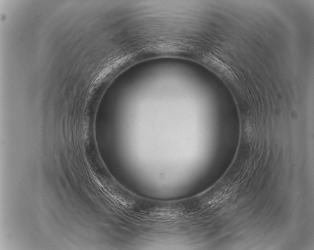 X0000059040732200510171848