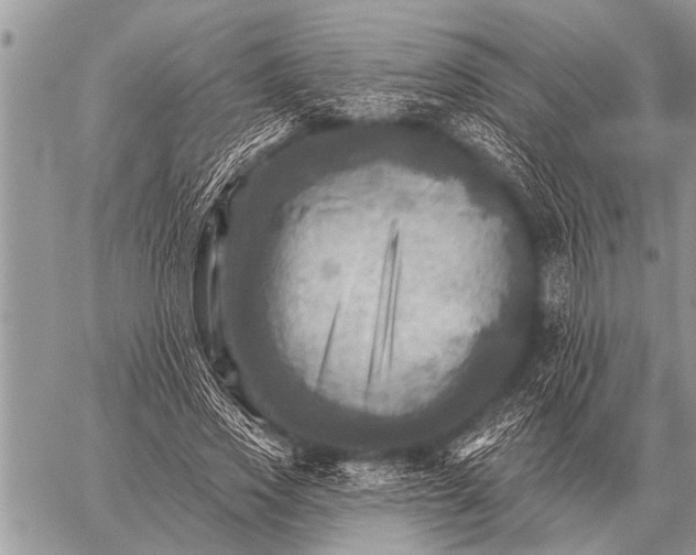 X0000059040733200510171848