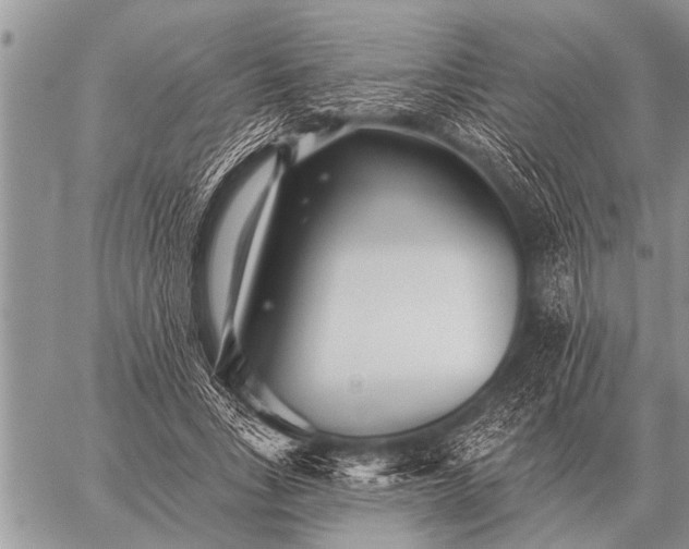 X0000059040735200510171848