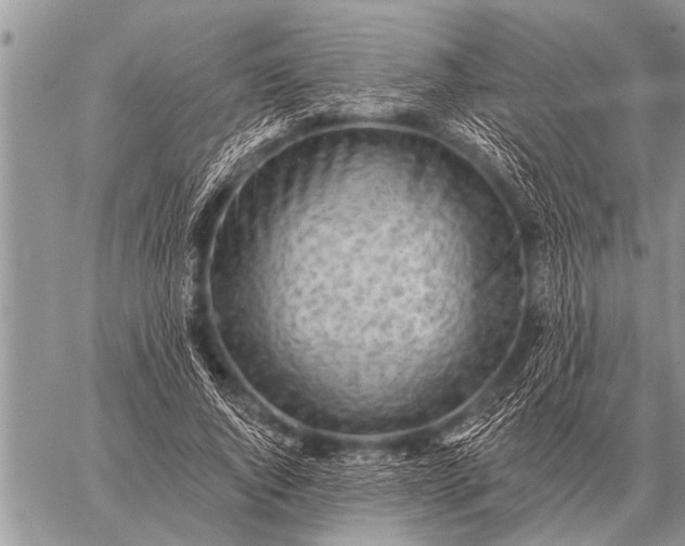 X0000059040736200510171848